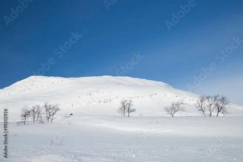 Winterlandschaft in Schweden © Alexander Erdbeer