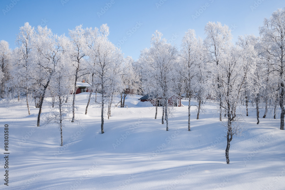 Sonniger Wintertag in Schweden