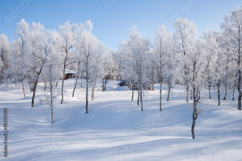 Sonniger Wintertag in Schweden