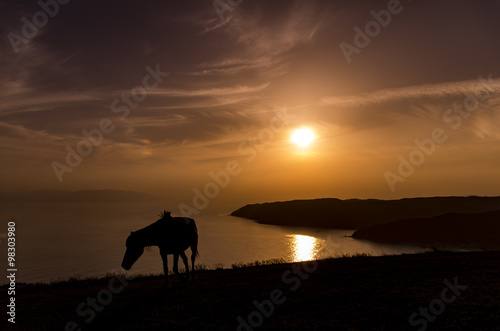 夕日と野生馬のシルエット © gadabout
