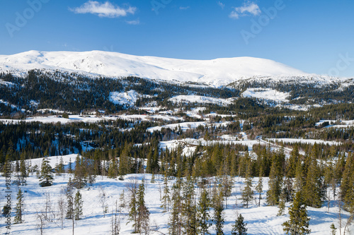 winter landscape in norway