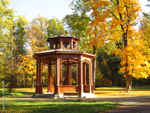 beautiful wooden arbour and yellow trees in the park in autumn Fototapet