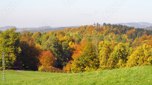 Fototapeta Naklejka Na Ścianę i Meble -  colorful forest with yellow, green and orange trees and meadow on sunny autumn day