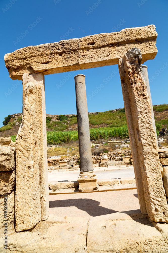perge   in asia turkey the column  temple