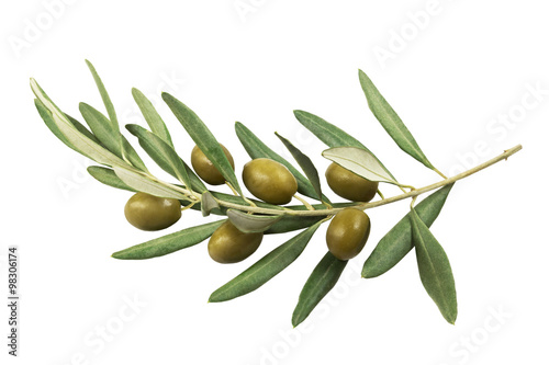 Gałązka oliwna z zielonymi oliwkami na białym tle odizolowywającym