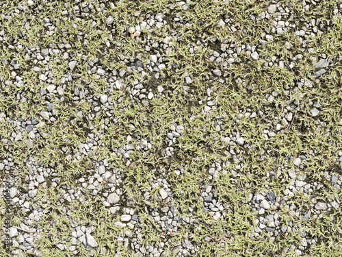 stone with grass background