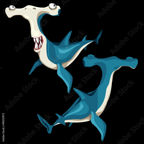 Two fish hammerhead on a black background