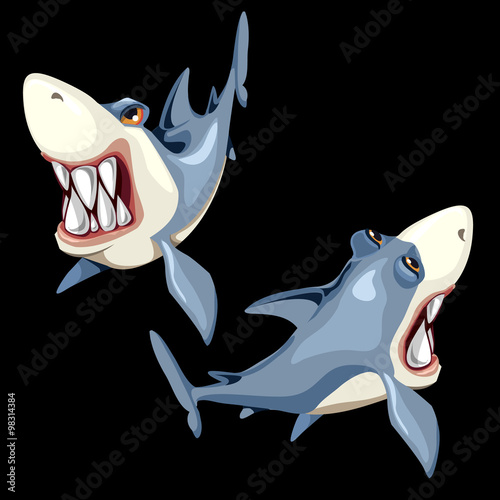 Two fish sharks on a black background, two sides