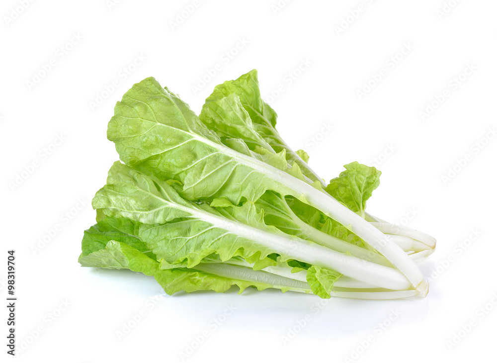 Fresh green lettuce on white background Fresh green lettuce on white background