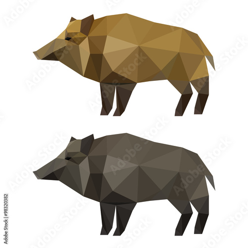 Abstract polygonal geometric triangle wild boar set isolated on white