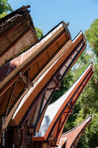 Very Unique and Traditional houses of Tana Toraja with Buffalo horns on Sulawesi