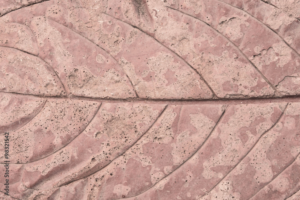 Obraz premium Background cement leaves motifs
