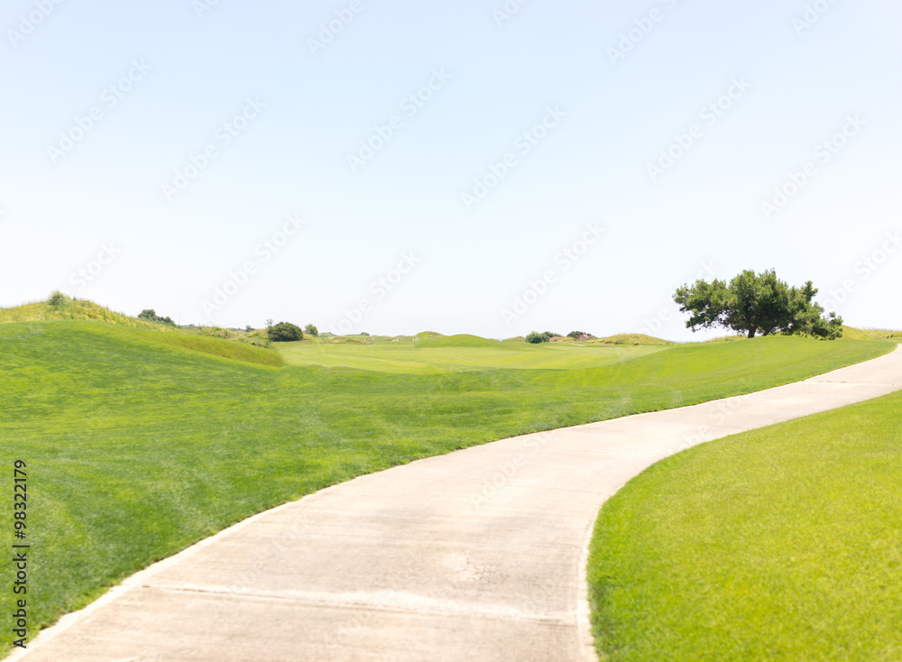 Naklejka premium Perfect grass meadow with path
