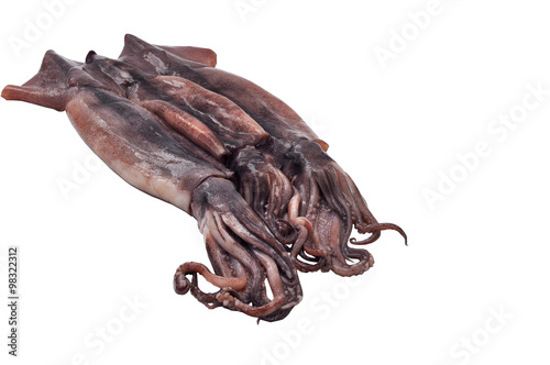 Fresh squids and peeled isolated on white background