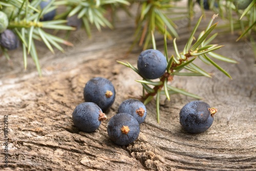 Juniper berries on vintage wooden background