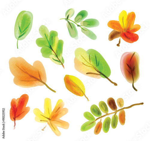 Color illustration of autumn leaves in watercolor paintings. Hand drawn. Isolated on white background © kharlamova_lv