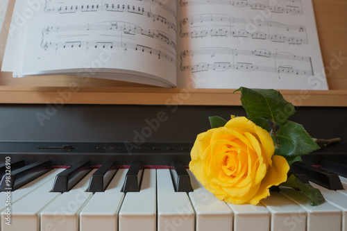 Gelbe Rose auf dem Piano photo