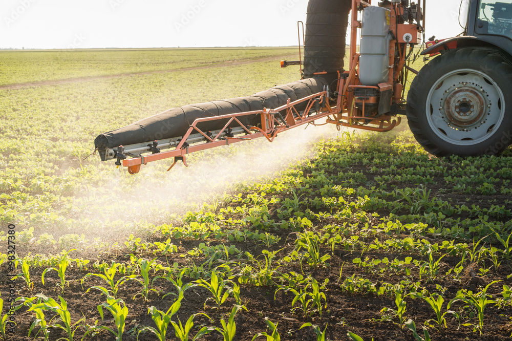 Naklejka premium Tractor spraying pesticides