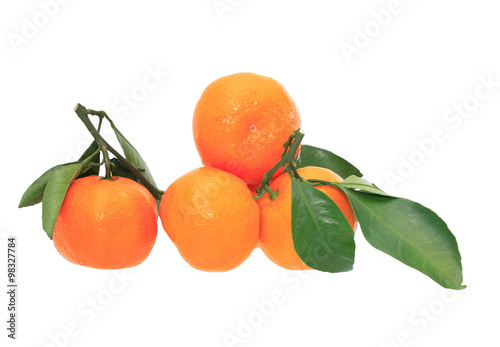 Tangerines On White
