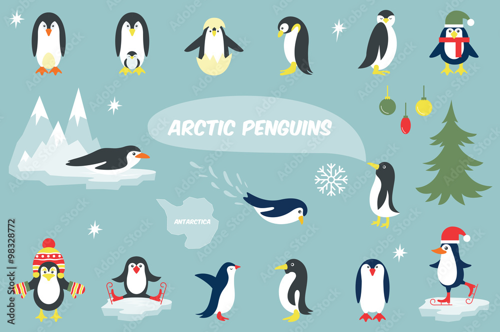 Obraz premium Various Penguins Cartoon Vector Illustration