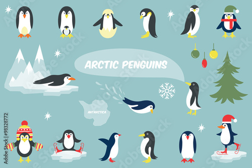 Various Penguins Cartoon Vector Illustration photo
