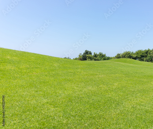 Perfect grass meadow