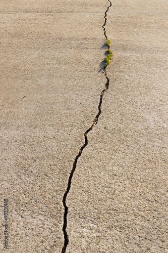 Grieta en Suelo de Cemento - Grieta en el pavimento  de cemento, con alguna vegetacion naciendo en las ranuras photo