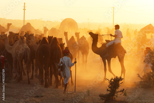 Inde / Pushkar Camel Fair (Foire aux chameaux) photo