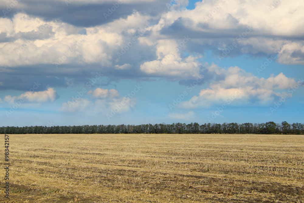 Rural cloudy landscape