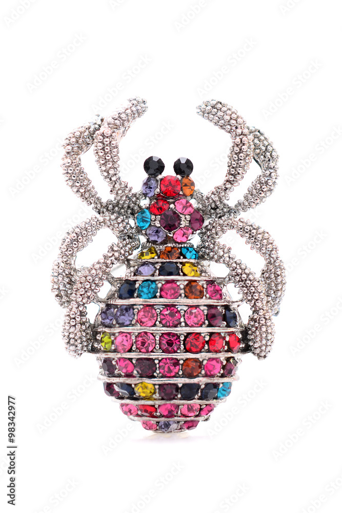brooch in the form of a spider on a white background brooch in the form of a spider on a white background