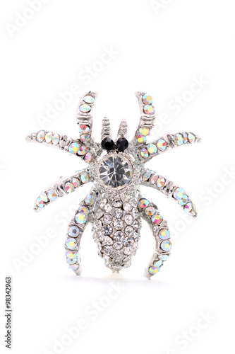 Картината върху платно brooch in the form of a spider on a white background
