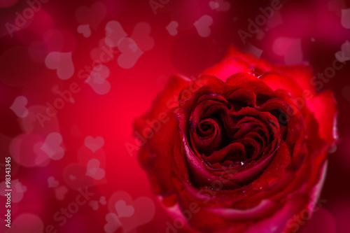 Red heart shaped rose