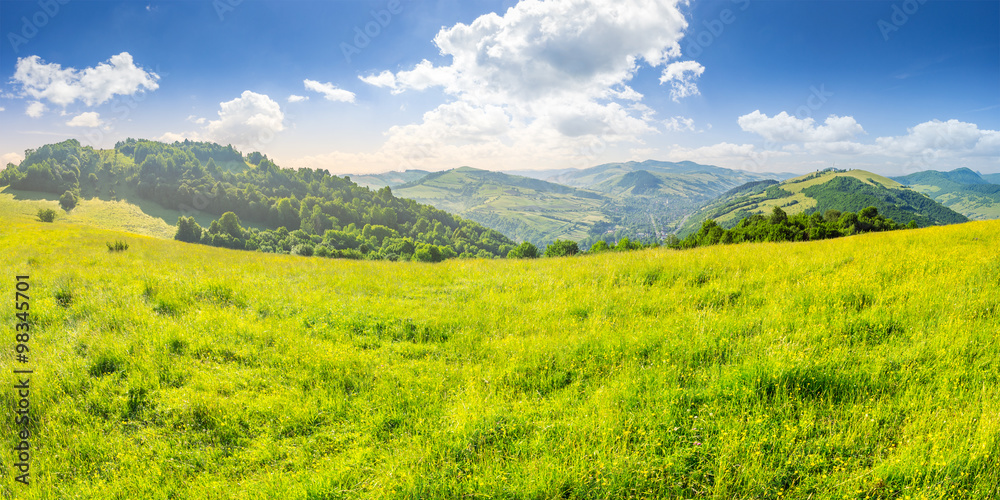 agricultural field in mountains