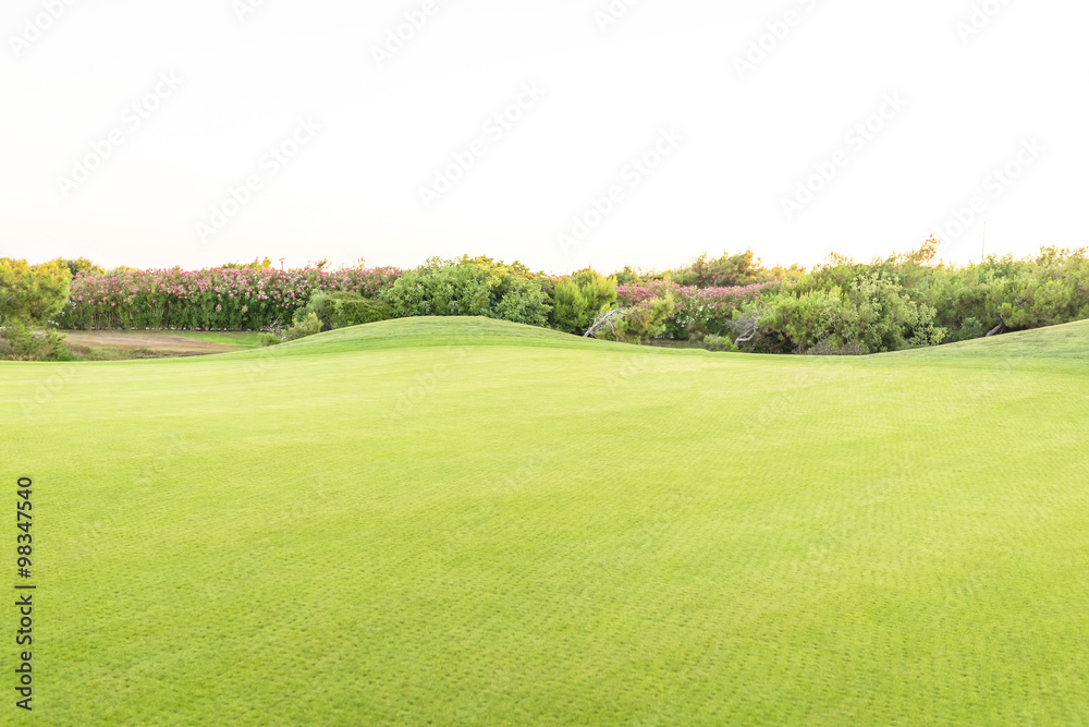 Perfect grass meadow Perfect grass meadow