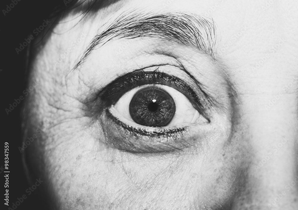 Fototapeta premium insightful look brown eyes