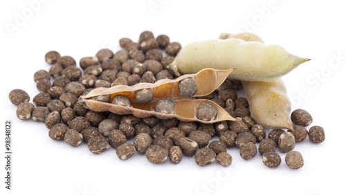 grain lupin