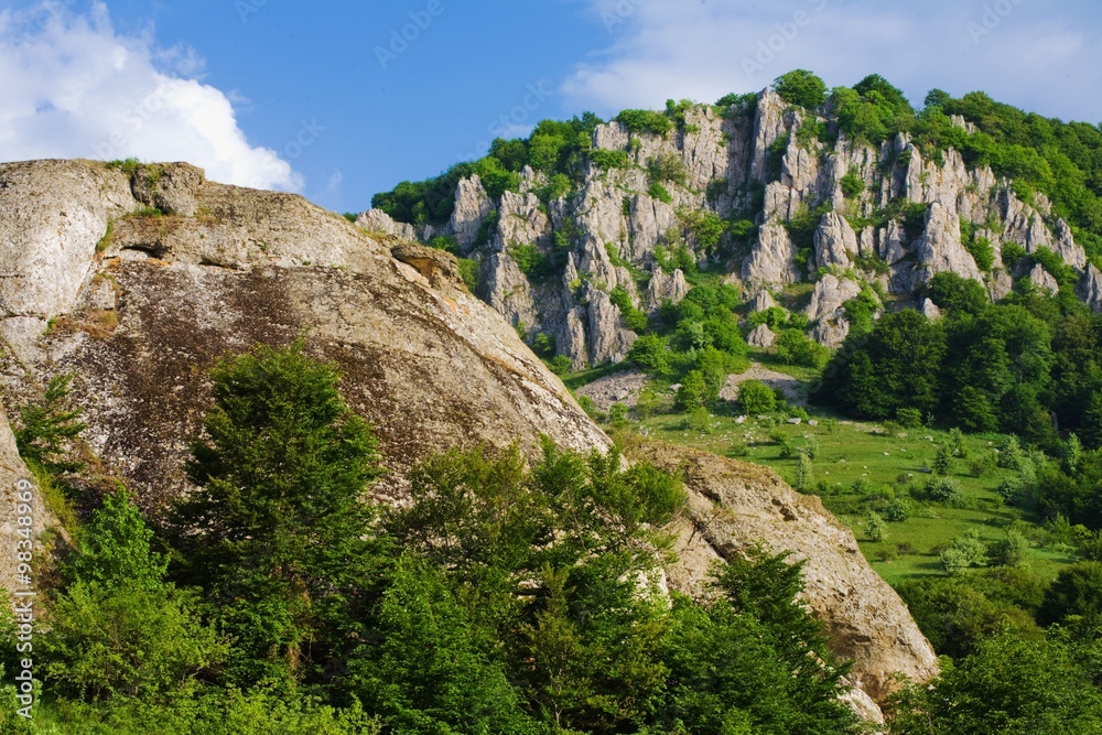 green forest on the mountain Demerdji, Crimea, Ukraine