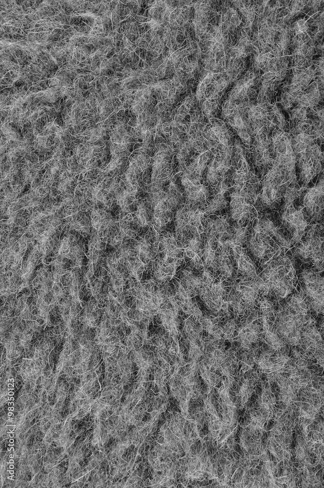 Raw Merino Sheep Wool Macro Closeup, Large Detailed Grey Textured Pattern Copy Space Background, Vertical Gray Texture Studio Shot