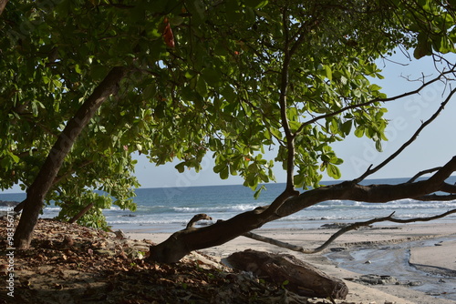 Die Playa Barrigona in Costa Rica