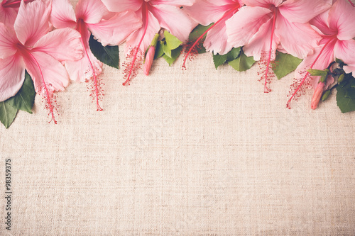 Pink Hibiscus flowers on linen, International Women's Day background