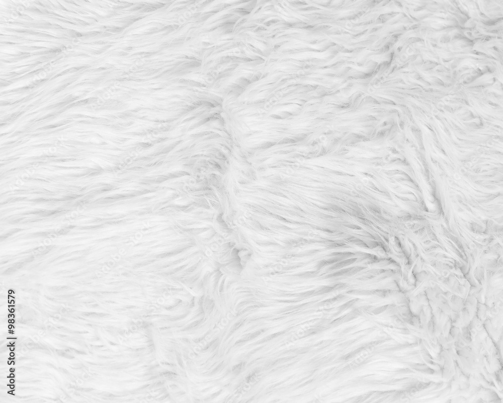 Fototapeta premium White Fur Texture