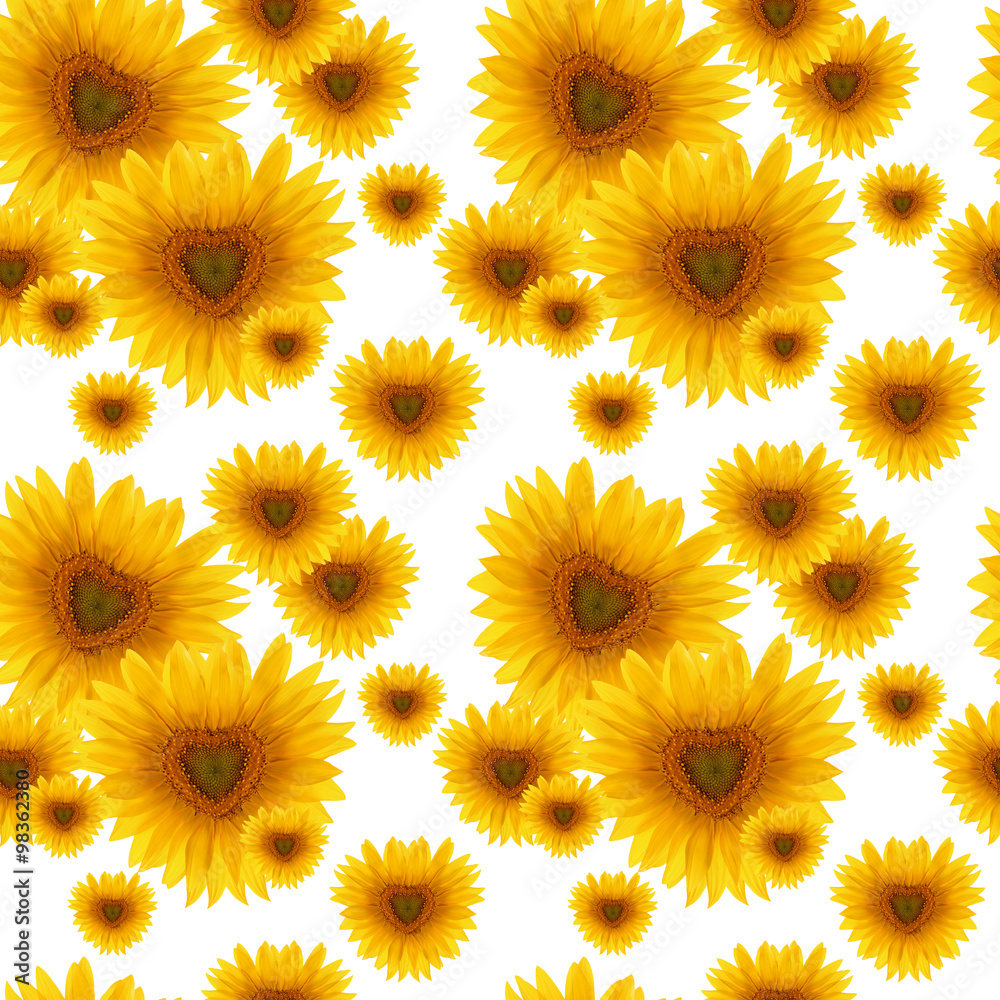seamless pattern flower sunflower seamless pattern flower sunflower