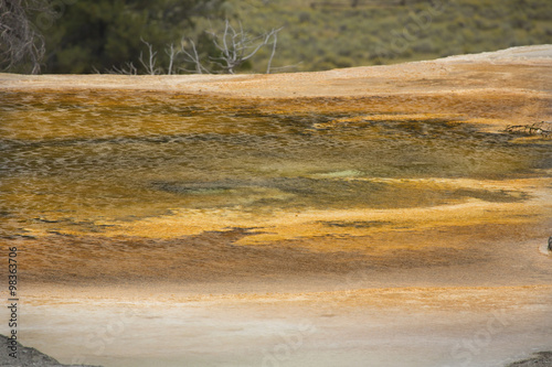 Yellow and orange geothermal pool at Mammoth Hot Springs, Yellowstone National Park, Wyoming.
