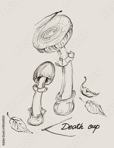 vector hand drawing a set of mushrooms