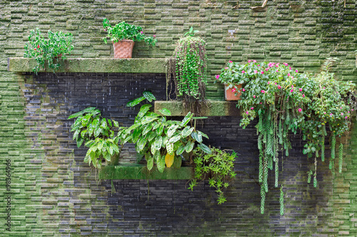 Small vertical garden
