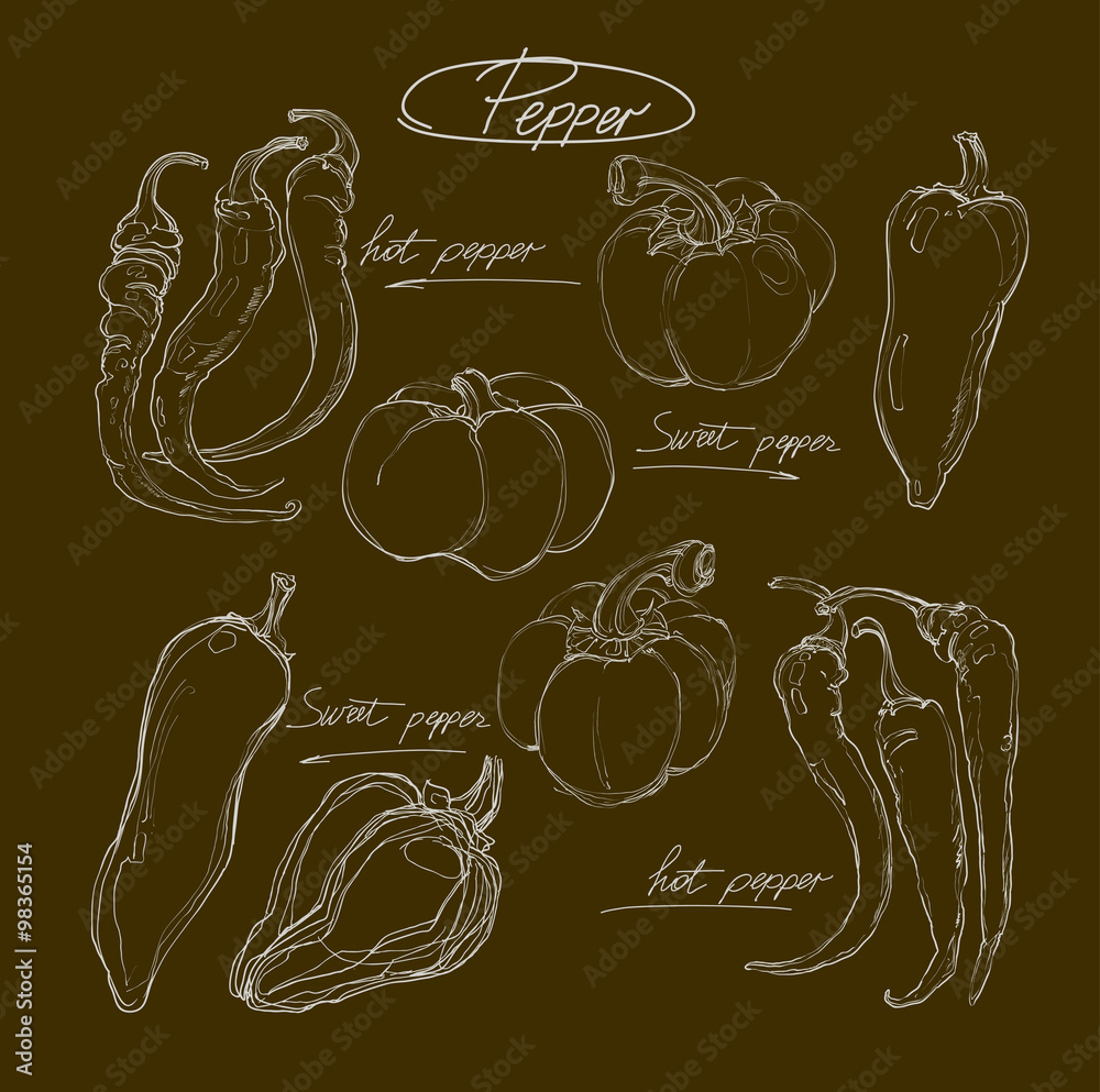 vector hand drawing set peppers vector hand drawing set peppers