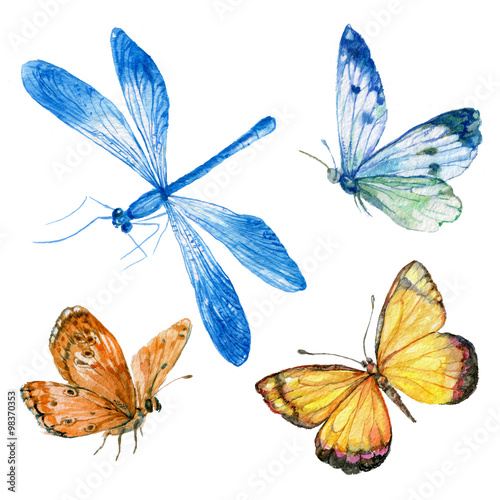 set butterfly watercolor