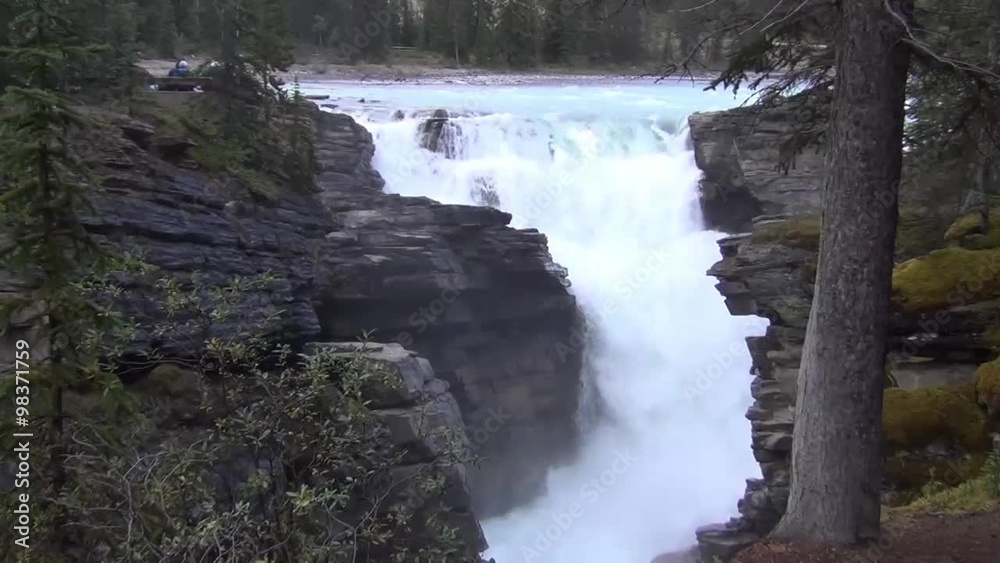 Front view, through the trees, on the Athabasca Falls, Canada Front view, through the trees, on the Athabasca Falls, Canada