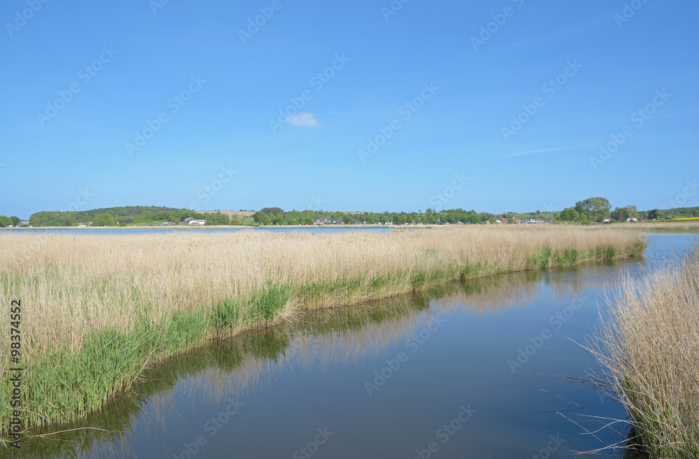 am Neuensiener See nahe Sellin auf der Insel Rügen,Mecklenburg-Vorpommern,Deutschland am Neuensiener See nahe Sellin auf der Insel Rügen,Mecklenburg-Vorpommern,Deutschland