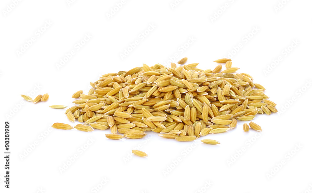 Obraz premium Yellow paddy jasmine rice isolated on white background